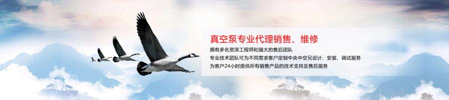 哲恩真空设备